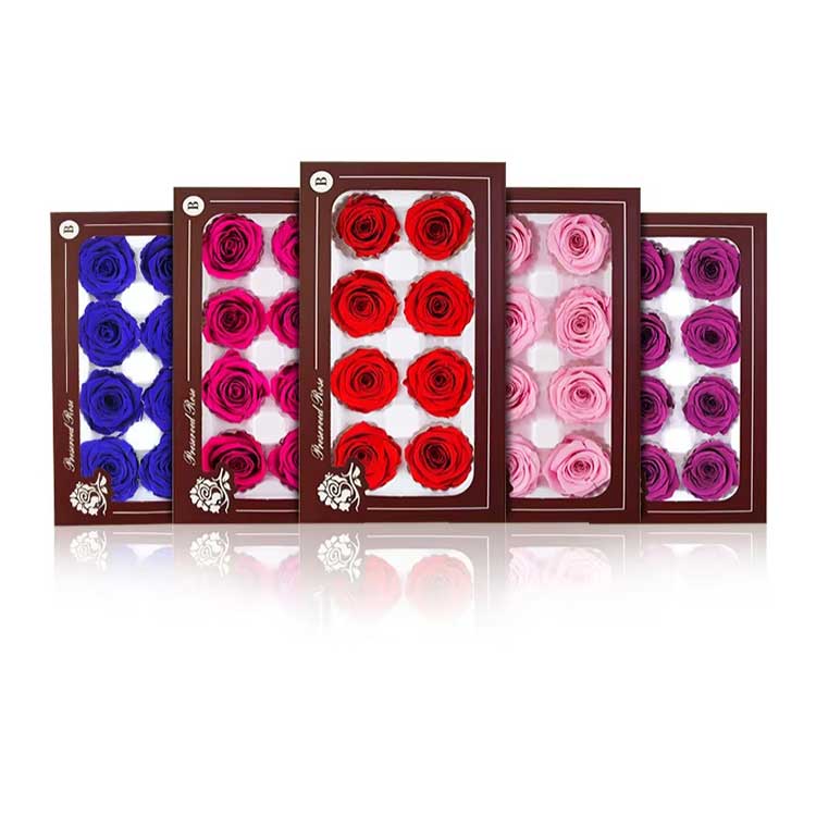 Everlasting Flower 8 blommor Rose presentförpackning